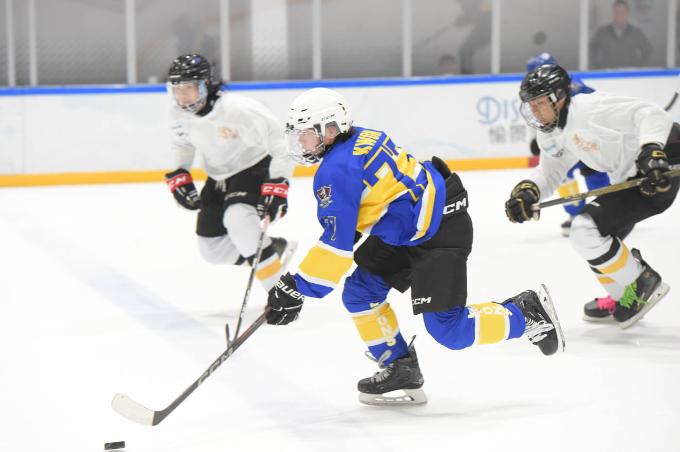 A scene at the Elite Lions program