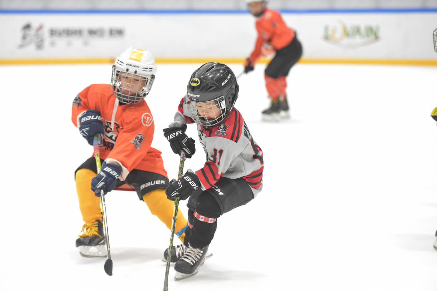 Kids hockey players
